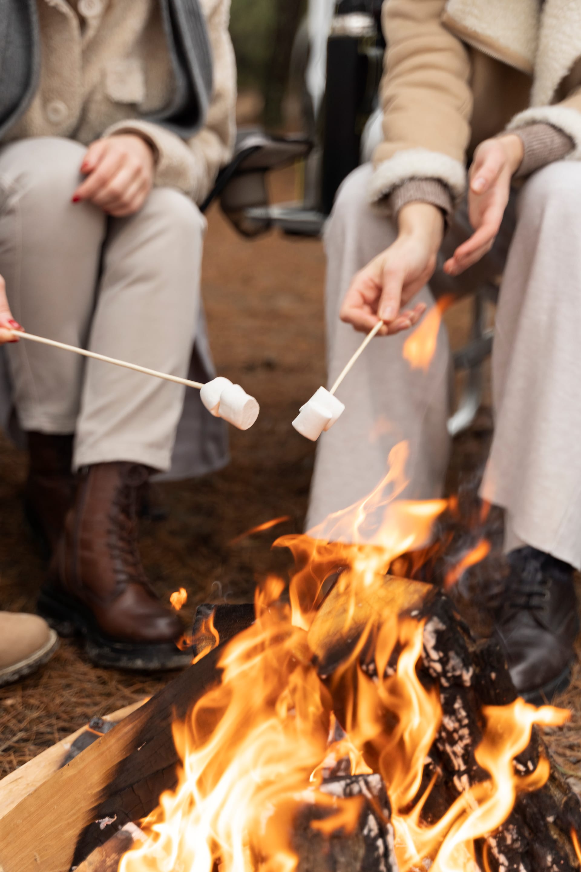 Roasting marshmallows by the fire